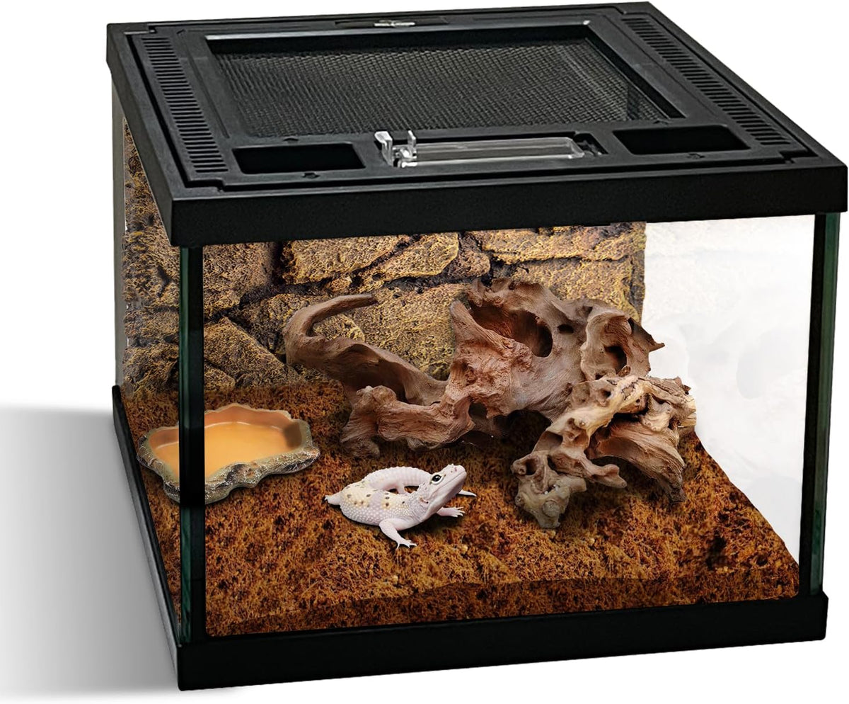 Mini Reptile Glass Terrarium Tank 8 * 8 * 6" Full View, Amphibians Box Habitat Enclosure Cage for Frog,Spiders,Dubia Cockroach,Praying Mantis,Cricket,Tarantula,Hermit Crab