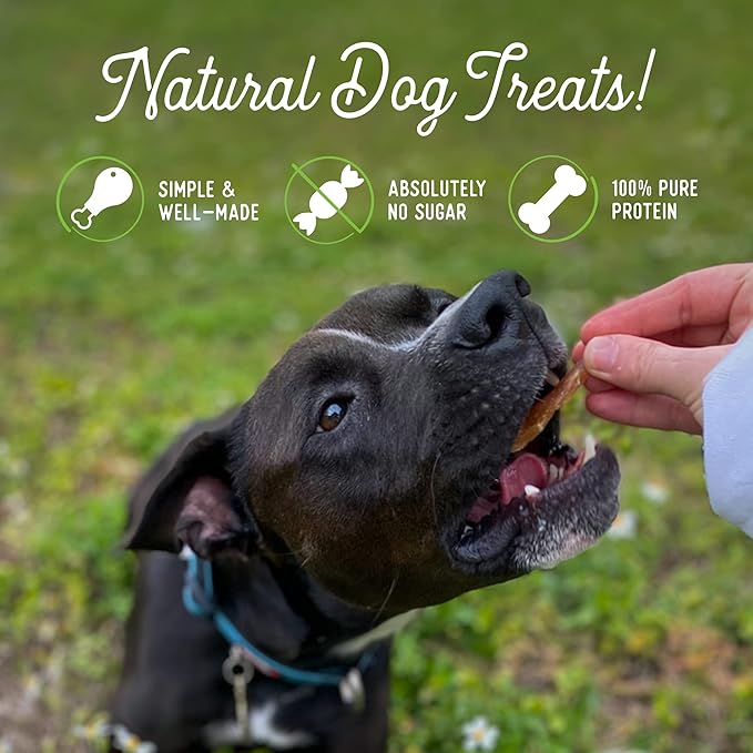 Beg & Barker Chicken Jerky for Dogs (4 Ounce, Pack of 1) - Dog Training Treats - Natural Dog Treats Made in The USA - Grain Free, Diabetic-Friendly, High Protein, Sugar-Free