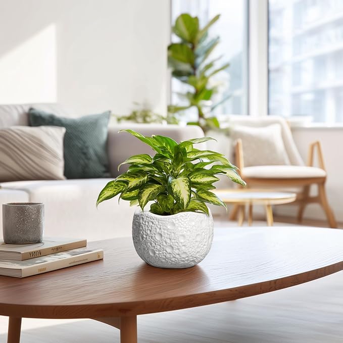 Ceramic Pots for Plants - 6 Inch Plant Pot for Indoor Outdoor, Decorative Orchid Pots with Drainage Hole, Unique Round Modern Planters, Home Decor, Gifts for Plant Lovers, White