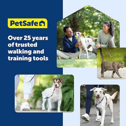 PetSafe Easy Walk Harness, No Pull Dog Harness, Charcoal Gray, Medium | Patented Martingale Loop Gives Gradual Shoulder Pressure to Stop Pulling, Front-Chest Leash Clip Prevents Gagging