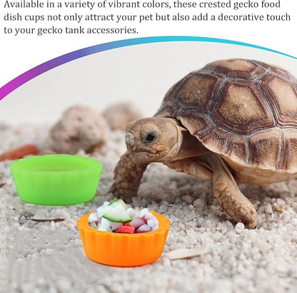 10 Pack Colorful Crested Gecko Feeding Dishes Reusable Small Reptile Food and Water Bowls Accessories for Cresteds, Tortoises, Crabs, and Small Pets10 Colors