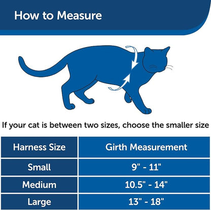 PetSafe Come with Me Kitty Harness and Bungee Cat Leash, Lilac, Small | Adjustable 2-Point Fit Applies Gentle Pressure to Shoulders, Not Neck, for Kittens and Small Cats with 9 in - 11 in Girth