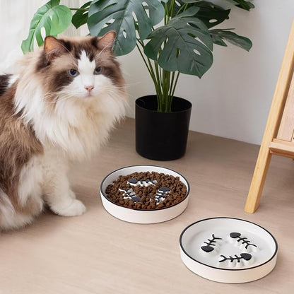 Ceramic Cat Bowls Set, Whisker-Friendly Feeding Dishes, Wet & Dry Food, 2-Pack