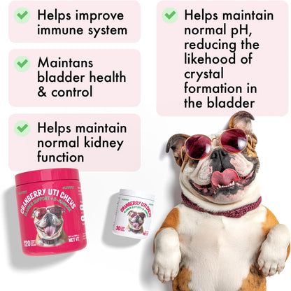 Cranberry UTI Chews for Dogs Bladder Support + D-Mannose Supports Kidney Urinary Tract and Bladder Health Natural Cranberry Wellness Supplement Immune System Booster Natural Pet Antioxidant 120 Chews