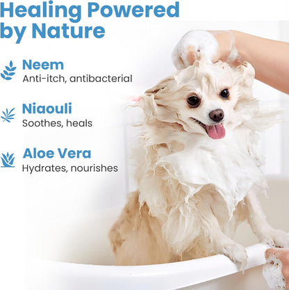 Medicated Organic Dog Shampoo Bar for Hot Spots, Dry Coat, and Allergies, All Natural Dog Shampoo with Neem, Aloe, and ACV, Eco-Friendly, Vet Recommended, 2 Bars for Sensitive Skin Relief