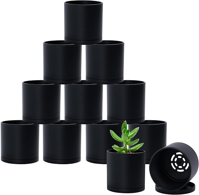 D'vine Dev 12 Pack 3.5 Inch Mini Plastic Plant Pots, Small Garden Planters for Plant with Drainage Holes and Saucers, Black Color, 74-Y-D-4