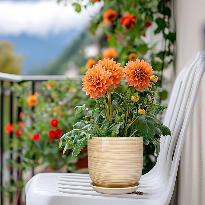 Ceramic Plant Pot 5 Inch - Modern Round Succulent Planter for Indoor Plants with Drainage Hole and Saucer, Office Home Room House Decor, Yellow