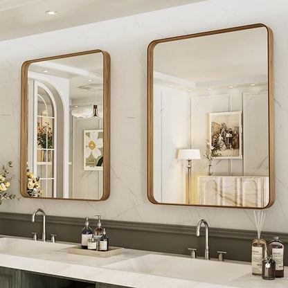 LOAAO 20X30 Inch Bathroom Mirror