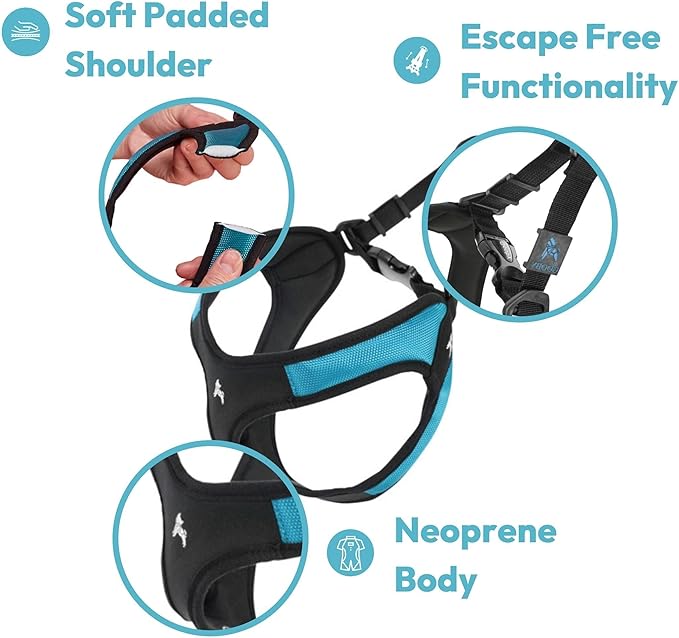 Gooby Escape Free Easy Fit Dog Harness, Step-in, Orange, X-Small | Patented escape-free frame; Contracts if they back out; Step-in easy on/off; Machine washable; Light POM leash ring