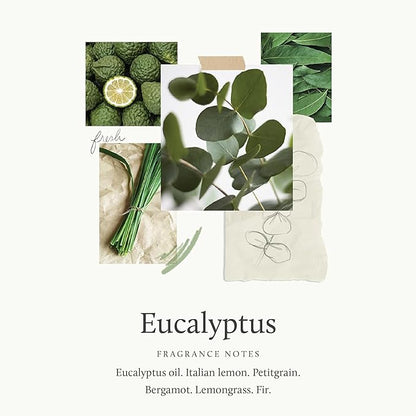 Thymes Eucalyptus Pura Smart Home Plug-in Diffuser Refills