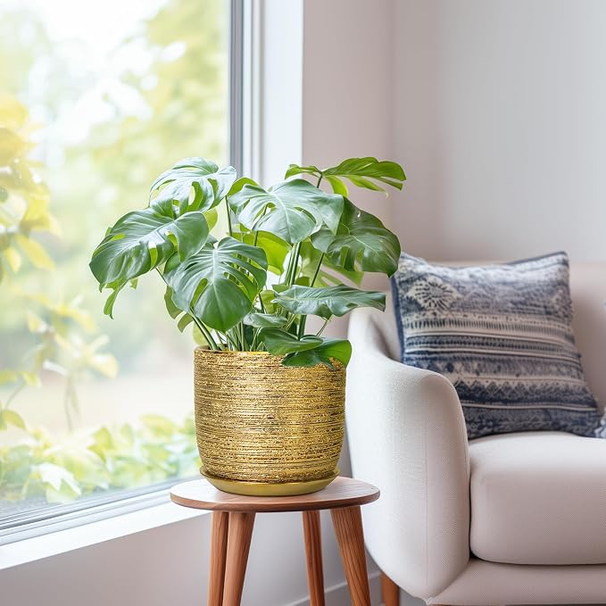 8 Inch Plant Pot - Ceramic Planter with Drainage Hole and Saucer, Modern Round Planter for Indoor Flowers, Gifts for Plant Lovers, Home House Office Room Decor, Gold