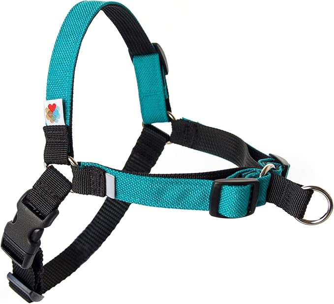 No Pull Dog Harness | Comfortable Training Harnesses | Effective No Pull Harness Design | Ideal for Large Sized Dog | 4-Point Adjustable(L - 26~32 inch Girth, Turquoise)