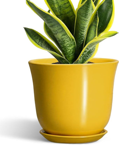 Ceramic Pots for Plants - 8 Inch Plant Pot for Indoor Outdoor, Round Planter with Drainage Hole and Tray, Decorative Flower Pot, Modern Planter, Home Patio Decor, House Warming Gift, Yellow