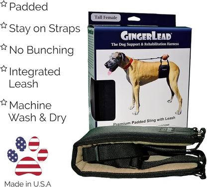 Dog Sling Hip Lift Support Harness, Tall Female, Made in USA | Fits Tall, Lean Dogs like Greyhounds or Great Danes, Padded Mobility Aid, Help Pets Walk or Balance, Machine Wash & Dry