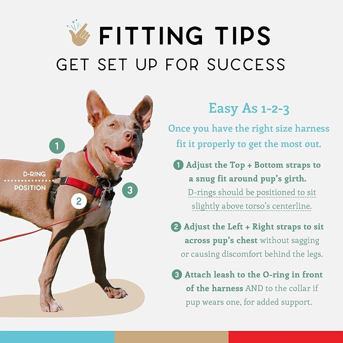 No Pull Dog Harness | Comfortable Training Harnesses | Effective No Pull Harness Design | Ideal for Large Sized Dog | 4-Point Adjustable(L - 26~32 inch Girth, Red)