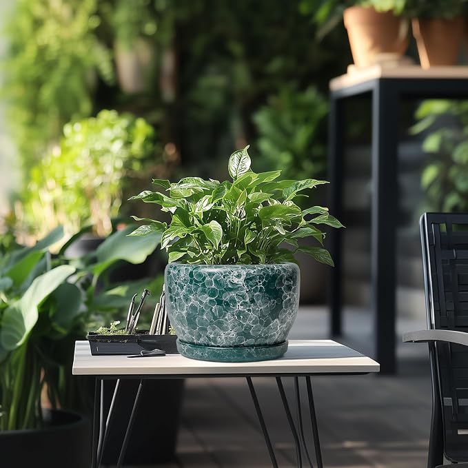 SQOWL 8 Inch Plant Pot - Ceramic Planter for Indoor Plants, Decorative Flower Pot with Drainage Hole and Saucer, Round Planter Outdoor, Room Patio Decor, Garden Gifts for Women, Green
