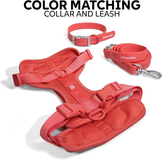 Dog Harness, Collar & Leash Set, Adjustable No Pull Harness with 3 Leash Clips, Waterproof Matching Collar & Leash, Breathable Comfort (Red Watermelon, Medium)