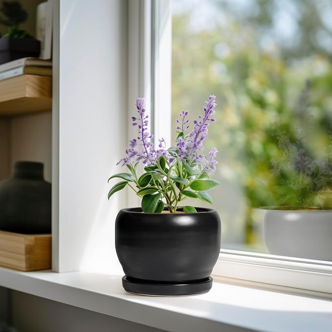SQOWL Ceramic Plant Pot - 6 Inch Planter for Indoor Plants, Round Flower Pot with Drainage Hole and Saucer, Modern Succulent Planter Outdoor, House Decor, Plant Lovers Gifts, Black