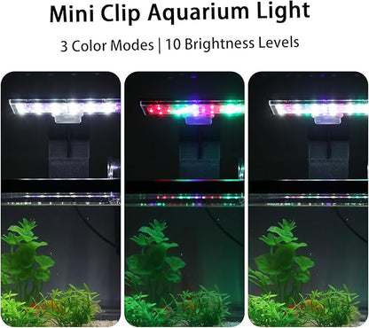 1.7 Gallon Aquarium Starter Kit with LED Light & Quiet Filter, Complete Small Fish Tank for Betta, Mini Desktop Acrylic Tank, Ideal for Shrimp Guppy Jellyfish Goldfish, Office, Home, or Gift