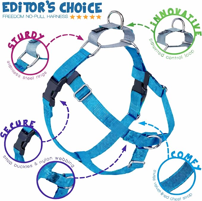 2 Hounds Design Freedom No Pull Dog Harness, Adjustable Harness and Leash Set, Easy Walking & Comfortable Control, Fits Small, Medium & Large Dogs, Solid Colors, Made in USA, 1" XXL, Turquoise