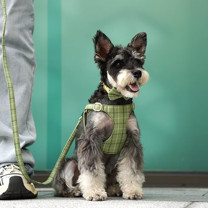 Beirui Cute Small Dog Harness Collar and Leash Set with Bowtie, Soft Adjustable Plaid Puppy Harness for Small Sized Dogs Cats Walks Parties and Photoshoots(Green,S:Chest 17-23")
