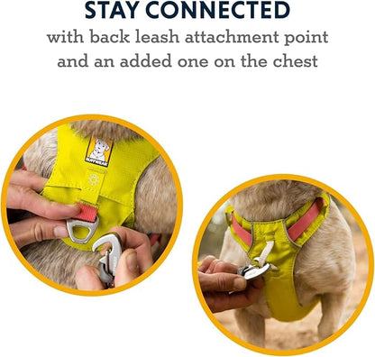 Ruffwear, Hi & Light, Everyday Lightweight Dog Harness, Trail Running, Walking, Hiking, All-Day Wear, Lichen Green, Medium
