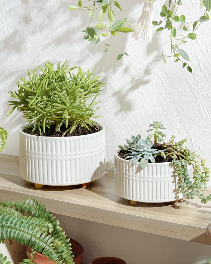 LE TAUCI Succulent Pots, 6.5+8 Inch Ceramic Indoor Plant Pot with Drainage Hole, Shallow Round Succulent Planters, Set of 2, Matte White