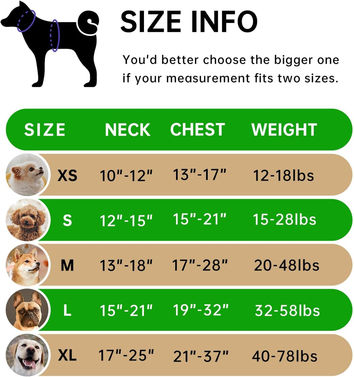 IVY&LANE No Pull Dog Harness for Large Dogs, Dog Vest Harness with Leash, Safety Belt and Storage Strap, Fully Adjustable Harness, 360° Reflective Strip, Soft Handle (Green, L)