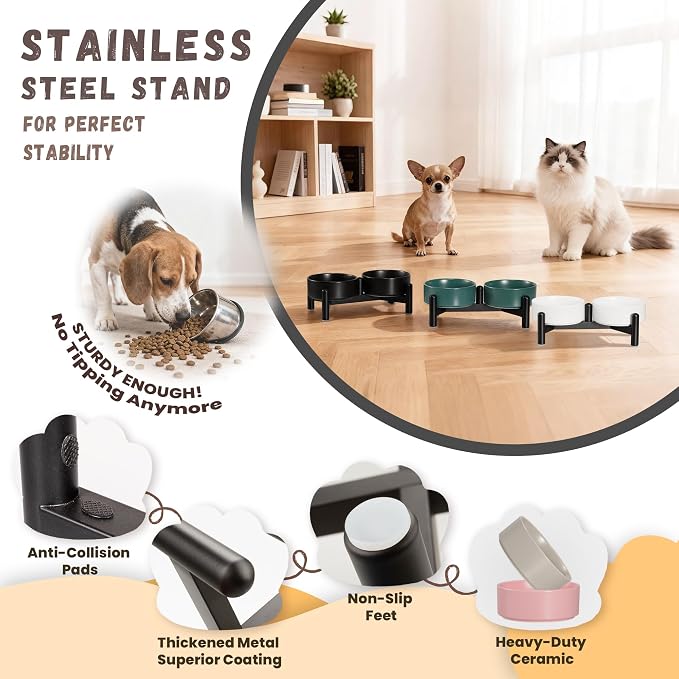 Raised Ceramic Dog Bowl Set with Stand, 1.6 Cups Elevated Dog Food Stand | 5.1'' Double Dog Food and Water Bowl Set, Non-Slip Dog Feeding Dishes for Small Breeds and Cats, 10.8 OZ, White