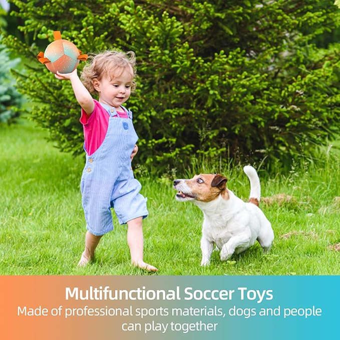 QDAN Small Dog Balls: Dog Soccer Ball with Straps- Premium Dog Toys Balls- Puppy Outdoor Dog Toys Pet Training Ball Birthday Gifts for Small Dogs- Rainbow Orange (5 Inch)