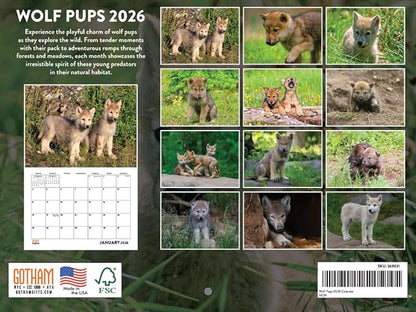 Baby Wolf Calendar 2026 Wall Monthly Pup Wolves Gifts For Wolf Lovers Women Men | American Made In The USA