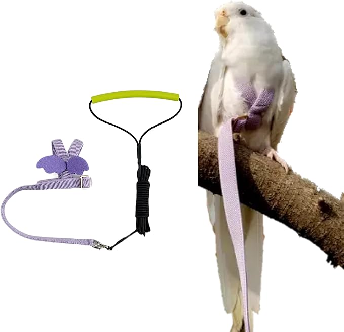 Pet Parrot Bird Harness Leash Adjustable Bird Flying Harness Traction Rope with Cute Wing for Parrots Pigeons Budgerigar Lovebird Cockatiel Mynah Outdoor Training Toy (L, Purple)