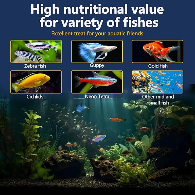 JADINGSFRAM Blood Worms Fish Food 3.5 oz, Freeze Dried Bloodworms for Fish, Bloodworms Fish Food for Freshwater Saltwater Tropical Fish Betta Cichlid Goldfish Guppy Turtle (3.5 OZ)