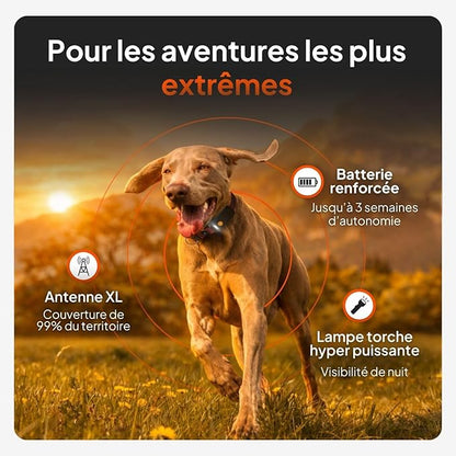 Weenect Dog XT - New GPS Collar