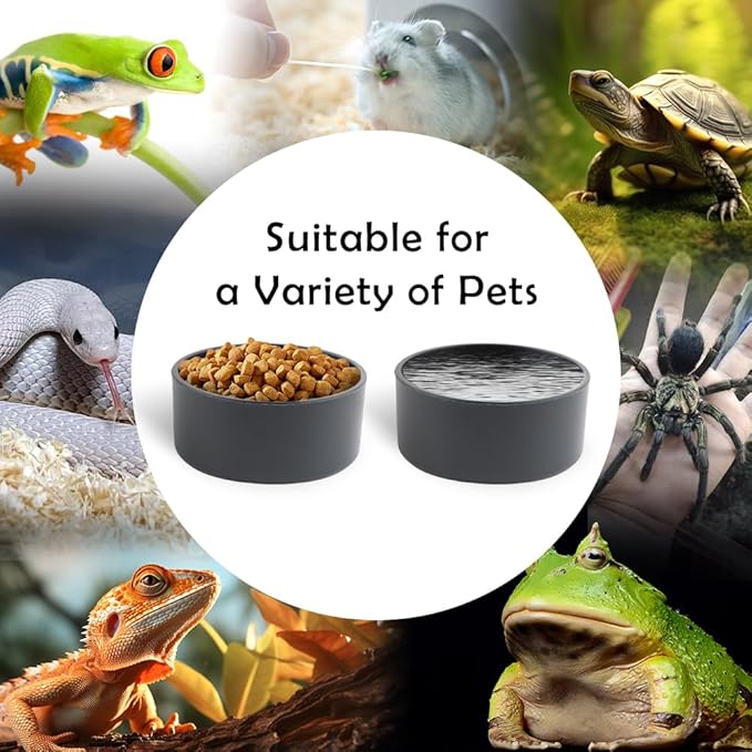 10 Pcs Small Reptile Water Bowl Food Dish Feeding Bowl for Spider Gecko Lizard Horned Frog Turtle Snake (Black)