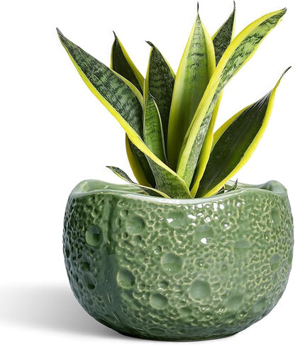 8 Inch Plant Pot - Ceramic Pots for Plants with Drainage Hole, Round Decorative Plant Pots for Indoor Outdoor, Modern Unique Flower Pot, Office Decor, Garden Gifts, Green