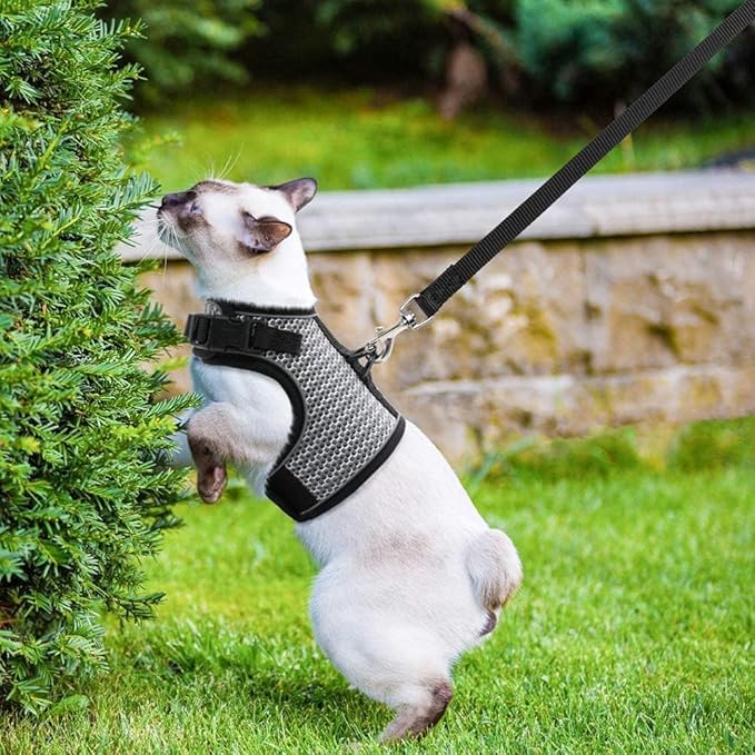 PUPTECK Soft Mesh Cat Vest Harness and Leash Set Puppy Padded Pet Harnesses Escape Proof for Cats Small Dogs Rabbits Bunny