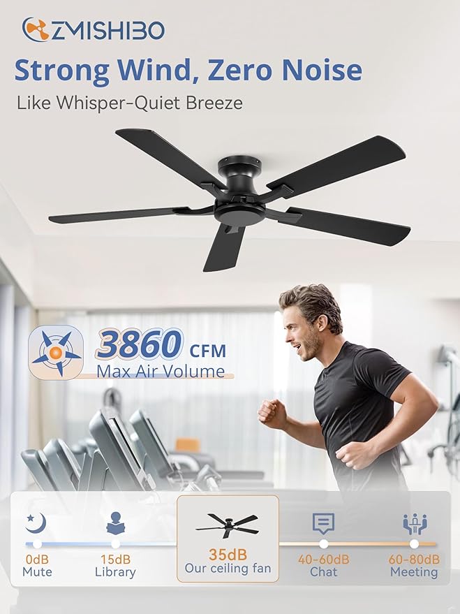 ZMISHIBO 52 Inch Ceiling Fan No Light, Flush Mount Low Profile, Modern Black