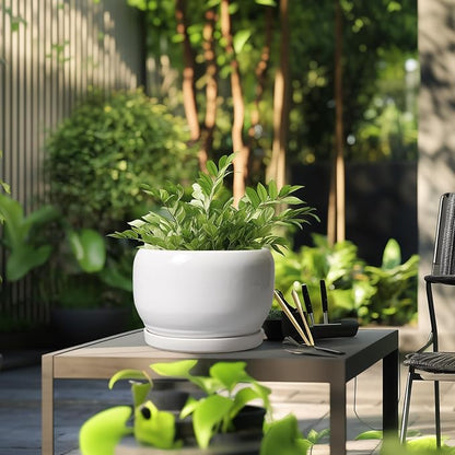 SQOWL Ceramic Pot for Plants - 10 Inch Planter with Drainage Hole and Saucer, Round Ceramic Flower Pot for Indoor Outdoor, Modern Decorative Large Planter, Patio Decor, Gifts for Plant Lovers, White
