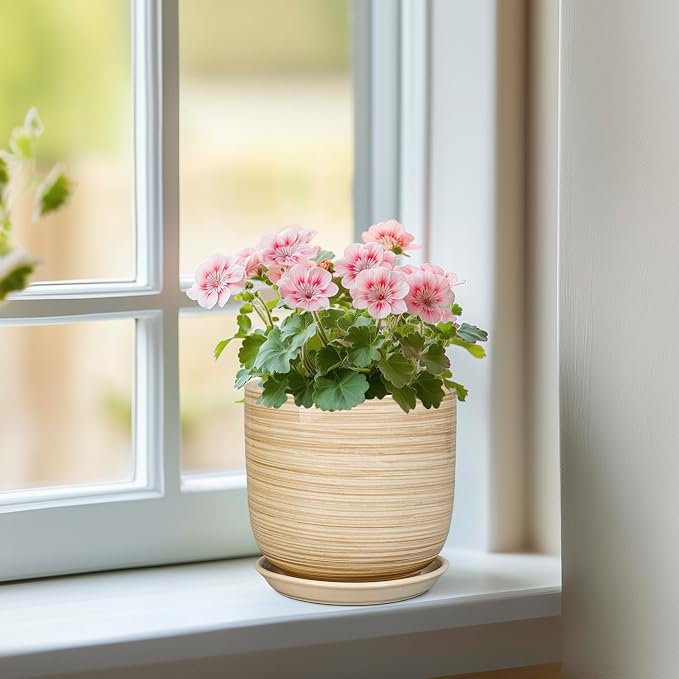 Ceramic Plant Pot 5 Inch - Modern Round Succulent Planter for Indoor Plants with Drainage Hole and Saucer, Office Home Room House Decor, Yellow
