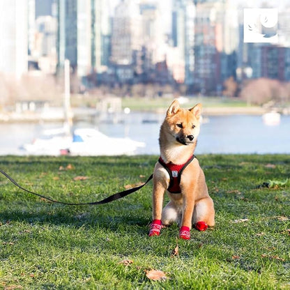 RC Pet Products Step in Cirque Soft Walking Dog Harness, Large, Red