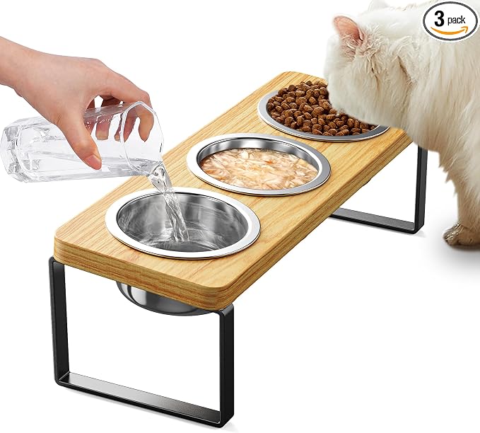 Elevated Cat Bowls with 3 Stainless Steel Bowls | 10° Tilted Anti-Vomiting Raised Cat Food Bowl for Small Cats and Puppies Pet Bowl with Stand