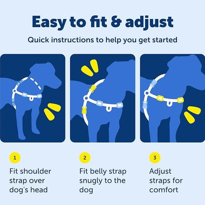PetSafe Easy Walk Harness, No Pull Dog Harness, Black, Small | Patented Martingale Loop Gives Gradual Shoulder Pressure to Stop Pulling, Front-Chest Leash Clip Prevents Gagging