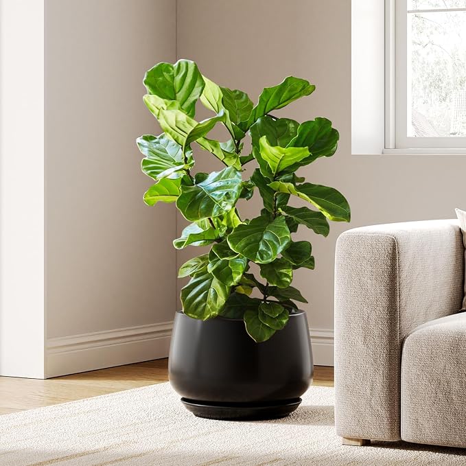LE TAUCI Ceramic Planters, 12 Inch Pots for Plants, Indoor Plant Pots with Drainage Holes and Saucers, Modern Planters Fit Mid Century Plant Stand, Flower Pots for Indoor Plants, Black