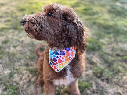 Lionet Paws Valentine's Dog Bandana,Fabric Love Dogs Kerchief for Small Medium Dogs,Dog Triangle Cotton Scarf for Girl Boy