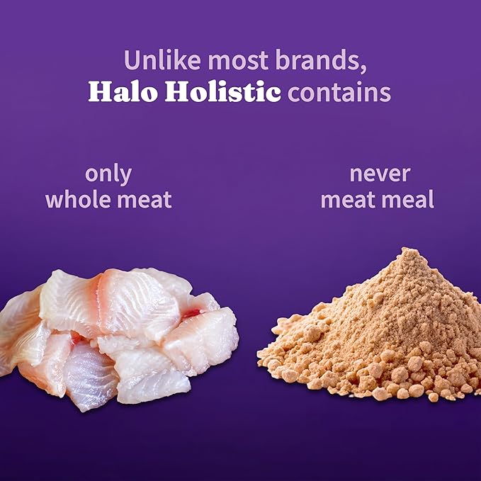 Halo Holistic Cat Food Wild Caught Salmon & Whitefish Formula, Healthy Grains Dry Cat Food, For Sensitive Stomach Support, Kibble for Adult Cats, 10 lb Bag