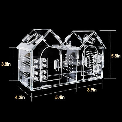 Jumping Spider Enclosure, Acrylic Terrarium with Partition Divider (1-2 Compartments), Dual Magnetic Doors & All-Side Ventilation, Jumping Spiders, Tarantulas, Mantis, GeckosHabitat, 9.6x4.2x5.8