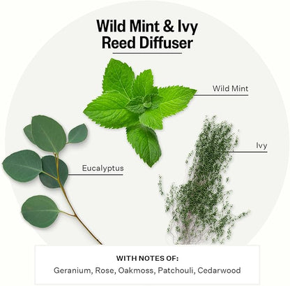 Apotheke Luxury Scented Reed Diffuser