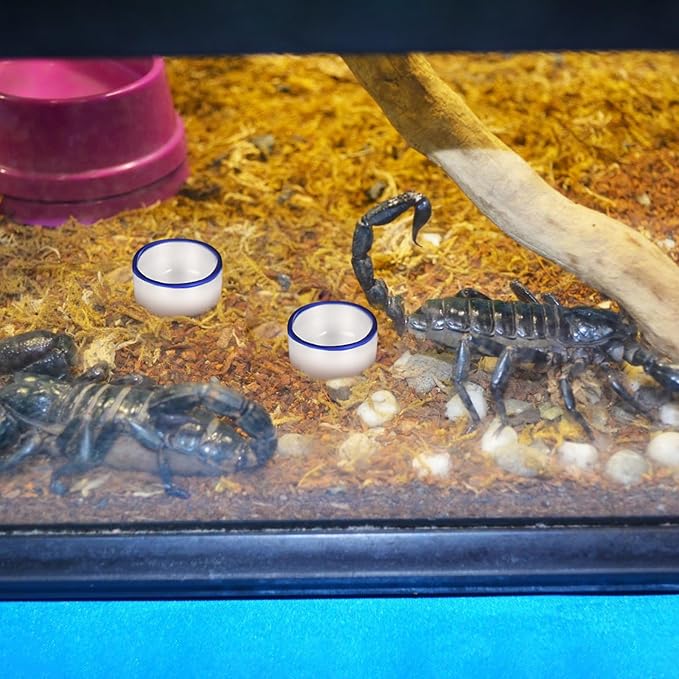 12pcs Small Ceramic Reptile Water Bowls Mini Terrarium Basins and Crawling Pets Reptile Tank Drinking Dishes Pet Habitat Accessories