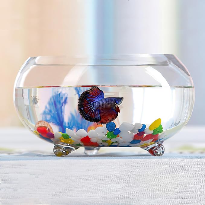 2 Gallon Glass Fish Tank,Sturdy Nicely Betta Fish Bowl,Small Aquariums for Small Ornamental Fish and Reptiles,High Transparency Glass Good View of Your pet,with Three Support Feet